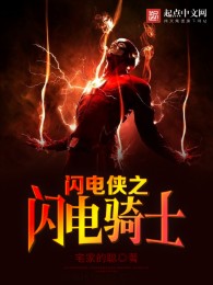 Flash: The Lightning Knight